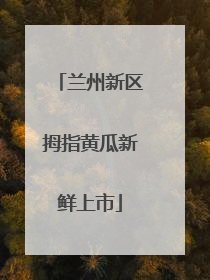 兰州新区拇指黄瓜新鲜上市