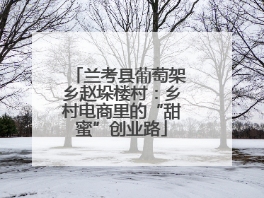 兰考县葡萄架乡赵垛楼村：乡村电商里的“甜蜜”创业路