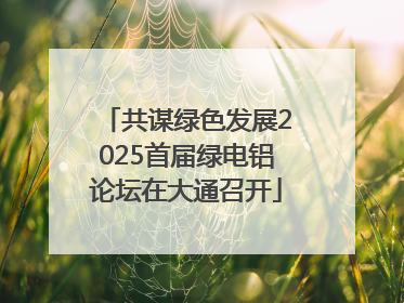 共谋绿色发展2025首届绿电铝论坛在大通召开