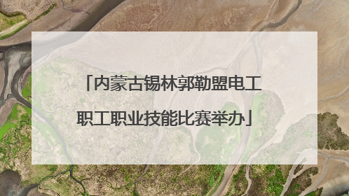 内蒙古锡林郭勒盟电工职工职业技能比赛举办