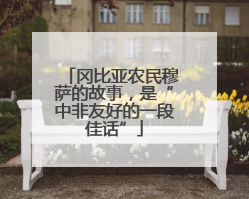 冈比亚农民穆萨的故事，是“中非友好的一段佳话”