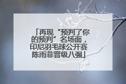 再现“预判了你的预判”名场面，印尼羽毛球公开赛陈雨菲晋级八强