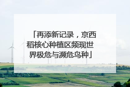 再添新记录，京西稻核心种植区频现世界极危与濒危鸟种