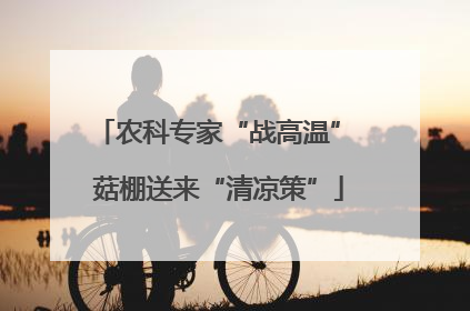 农科专家“战高温” 菇棚送来“清凉策”
