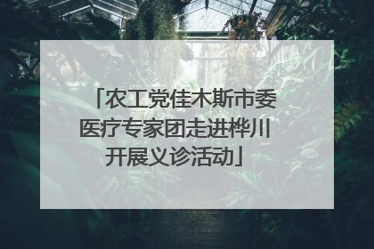农工党佳木斯市委医疗专家团走进桦川开展义诊活动