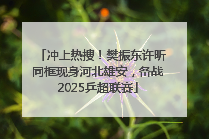 冲上热搜！樊振东许昕同框现身河北雄安，备战2025乒超联赛
