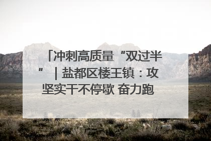 冲刺高质量“双过半”｜盐都区楼王镇：攻坚实干不停歇 奋力跑赢“上半场”
