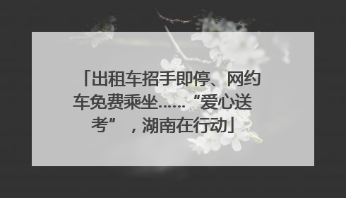 出租车招手即停、网约车免费乘坐……“爱心送考”，湖南在行动