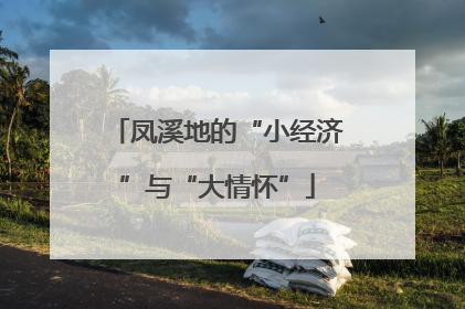 凤溪地的“小经济”与“大情怀”