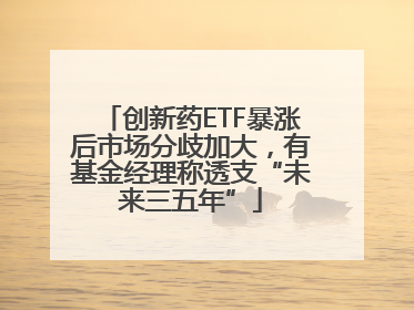 创新药ETF暴涨后市场分歧加大，有基金经理称透支“未来三五年”