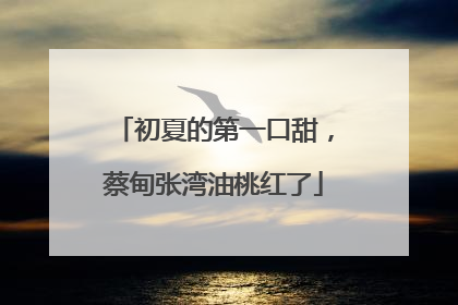 初夏的第一口甜，蔡甸张湾油桃红了