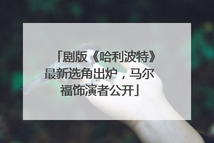 剧版《哈利波特》最新选角出炉，马尔福饰演者公开