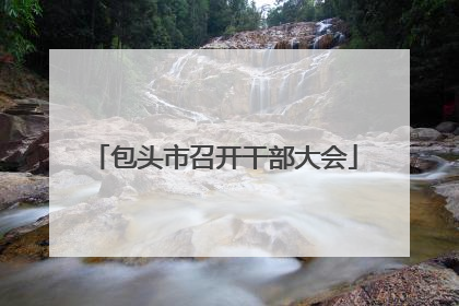 包头市召开干部大会