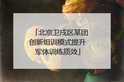 北京卫戍区某团创新组训模式提升军体训练质效
