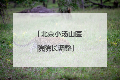 北京小汤山医院院长调整