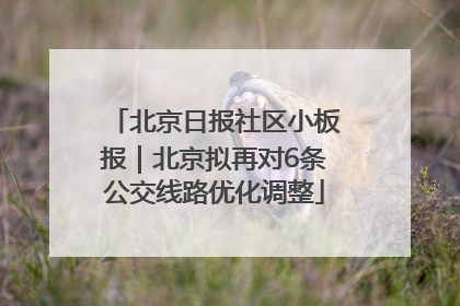 北京日报社区小板报｜北京拟再对6条公交线路优化调整