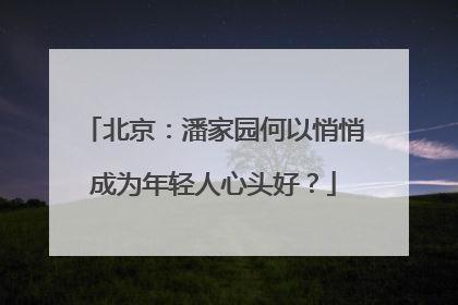 北京：潘家园何以悄悄成为年轻人心头好？