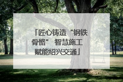 匠心铸造“钢铁骨骼” 智慧施工赋能绍兴交通