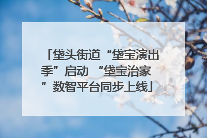 垡头街道“垡宝演出季”启动 “垡宝治家”数智平台同步上线