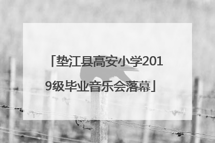垫江县高安小学2019级毕业音乐会落幕