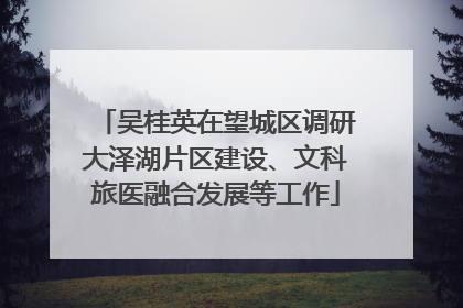 吴桂英在望城区调研大泽湖片区建设、文科旅医融合发展等工作