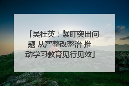 吴桂英：紧盯突出问题 从严整改整治 推动学习教育见行见效