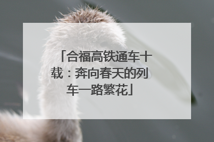 合福高铁通车十载：奔向春天的列车一路繁花