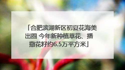 合肥滨湖新区初夏花海美出圈 今年新种植草花、播撒花籽约6.5万平方米