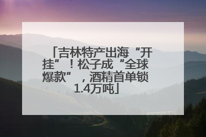 吉林特产出海“开挂”！松子成“全球爆款”，酒精首单锁1.4万吨