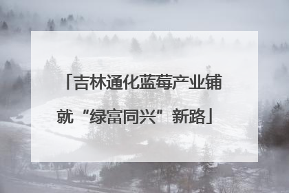 吉林通化蓝莓产业铺就“绿富同兴”新路