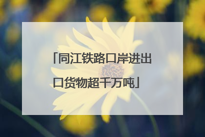 同江铁路口岸进出口货物超千万吨