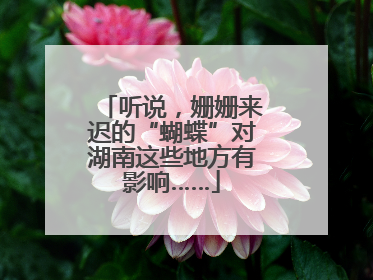 听说，姗姗来迟的“蝴蝶”对湖南这些地方有影响……