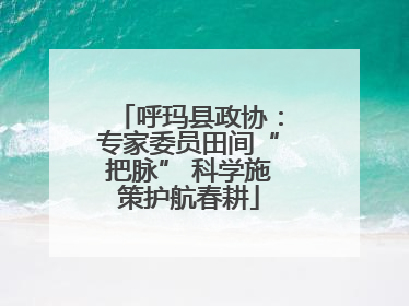 呼玛县政协：专家委员田间“把脉” 科学施策护航春耕