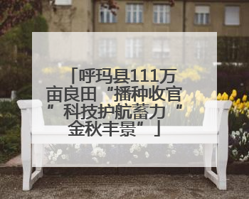呼玛县111万亩良田“播种收官”科技护航蓄力“金秋丰景”