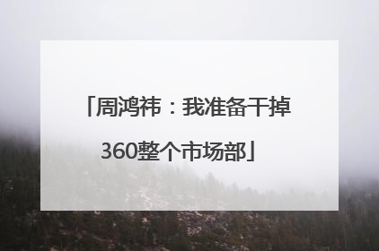 周鸿祎：我准备干掉360整个市场部