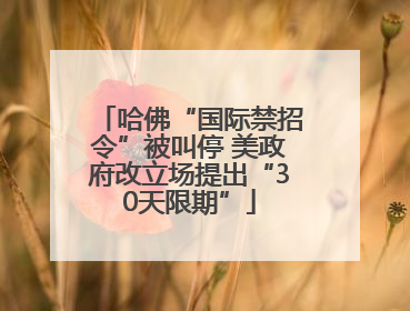 哈佛“国际禁招令”被叫停 美政府改立场提出“30天限期”