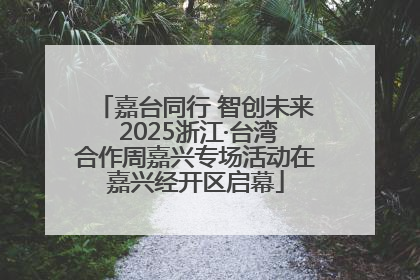 嘉台同行 智创未来 2025浙江·台湾合作周嘉兴专场活动在嘉兴经开区启幕
