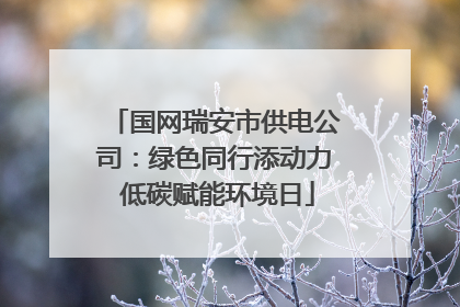 国网瑞安市供电公司：绿色同行添动力 低碳赋能环境日