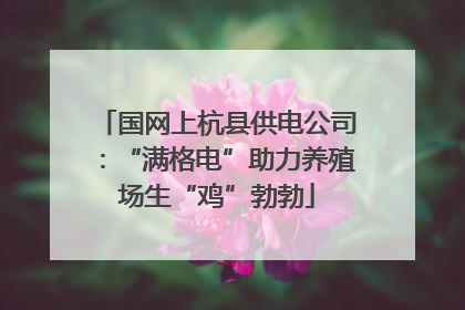 国网上杭县供电公司：“满格电”助力养殖场生“鸡”勃勃