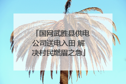 国网武胜县供电公司送电入田 解决村民燃眉之急
