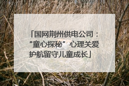 国网荆州供电公司：“童心探秘”心理关爱护航留守儿童成长