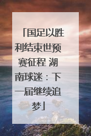 国足以胜利结束世预赛征程 湖南球迷：下一届继续追梦
