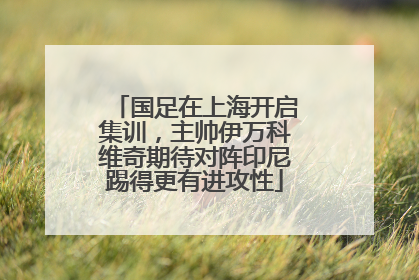 国足在上海开启集训，主帅伊万科维奇期待对阵印尼踢得更有进攻性