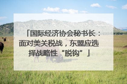 国际经济协会秘书长：面对美关税战，东盟应选择战略性“脱钩”