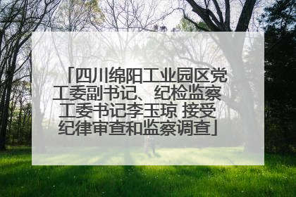 四川绵阳工业园区党工委副书记、纪检监察工委书记李玉琼 接受纪律审查和监察调查