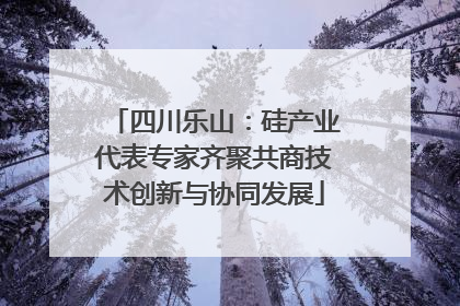 四川乐山：硅产业代表专家齐聚共商技术创新与协同发展