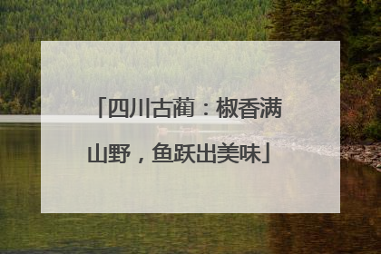 四川古蔺：椒香满山野，鱼跃出美味