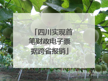 四川实现首笔财政电子票据跨省报销