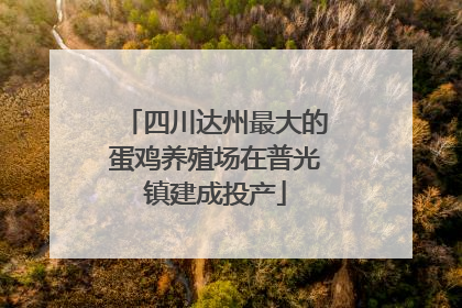 四川达州最大的蛋鸡养殖场在普光镇建成投产