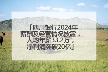 四川银行2024年薪酬及经营情况披露：人均年薪33.2万，净利润突破20亿